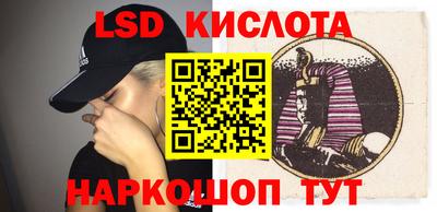 шишки Тара