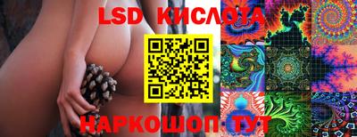 гидра Татарск