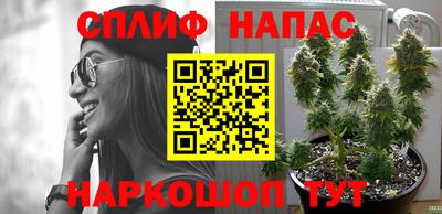 шишки Тара