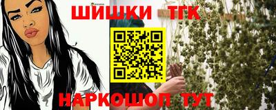 шишки Тара