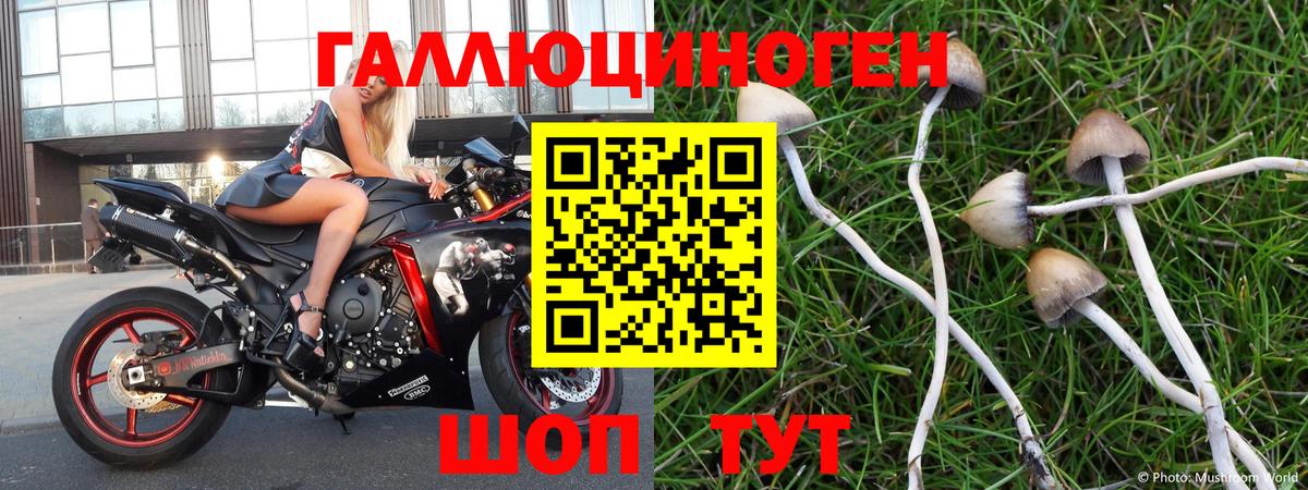 как найти закладки  Вход с VPN  Галлюциногенные грибы MAGIC MUSHROOMS  Обь  Галлюциногенные грибы Psilocybine cubensis 